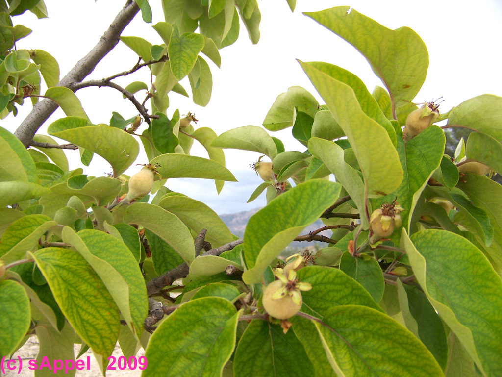 [Image: eden-paradise-garden.jpg]