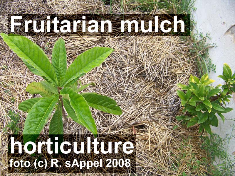 [Image: fruitarian-horticulture.jpg]