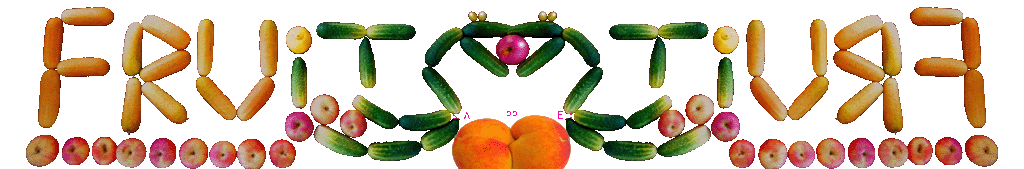FORO - Forum: Frugivorismo Fruchtesser frugivora frugivoro fruitarien fruit eater frutariano -fruitarian